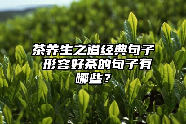 茶养生之道经典句子 形容好茶的句子有哪些？