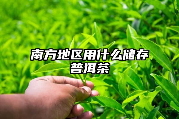 南方地区用什么储存普洱茶