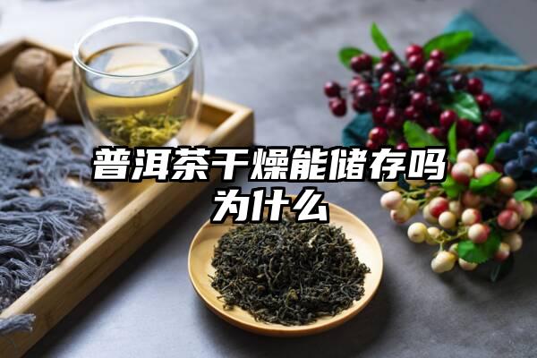 普洱茶干燥能储存吗为什么