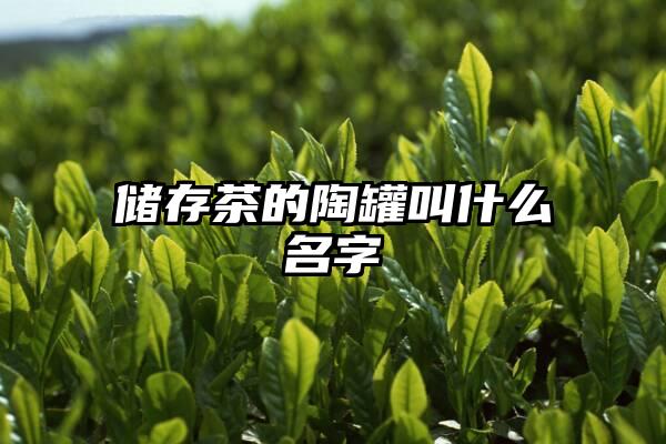 储存茶的陶罐叫什么名字