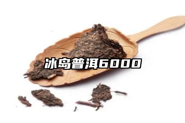 冰岛普洱6000