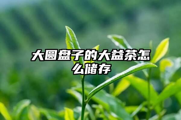 大圆盘子的大益茶怎么储存