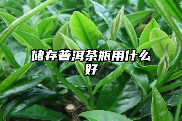 储存普洱茶瓶用什么好