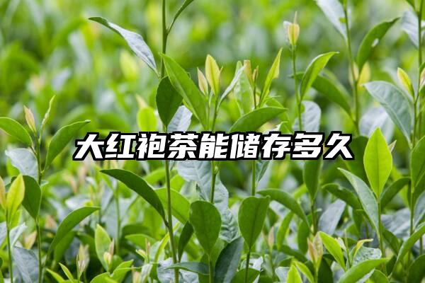 大红袍茶能储存多久