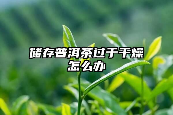 储存普洱茶过于干燥怎么办