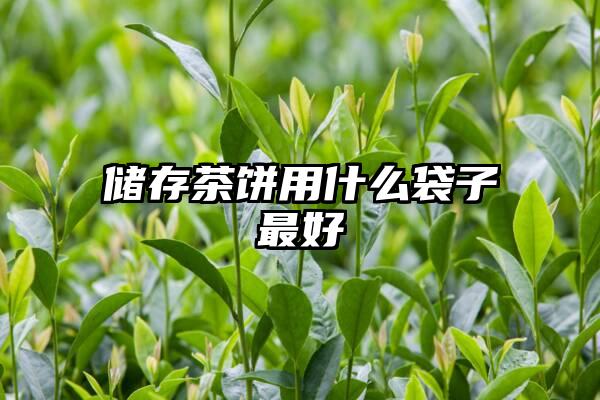 储存茶饼用什么袋子最好