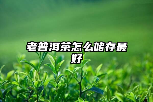 老普洱茶怎么储存最好