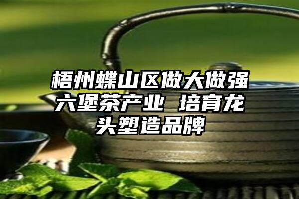 梧州蝶山区做大做强六堡茶产业 培育龙头塑造品牌