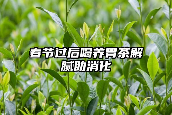 春节过后喝养胃茶解腻助消化