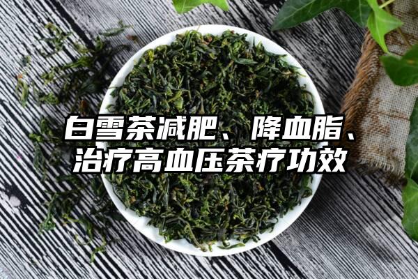 白雪茶减肥、降血脂、治疗高血压茶疗功效