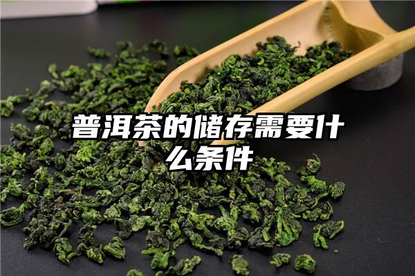 普洱茶的储存需要什么条件