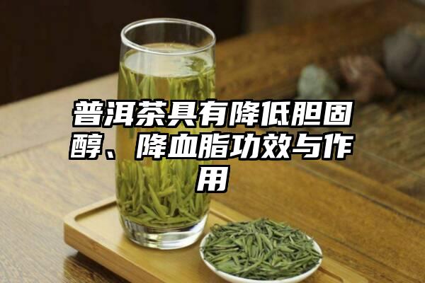 普洱茶具有降低胆固醇、降血脂功效与作用