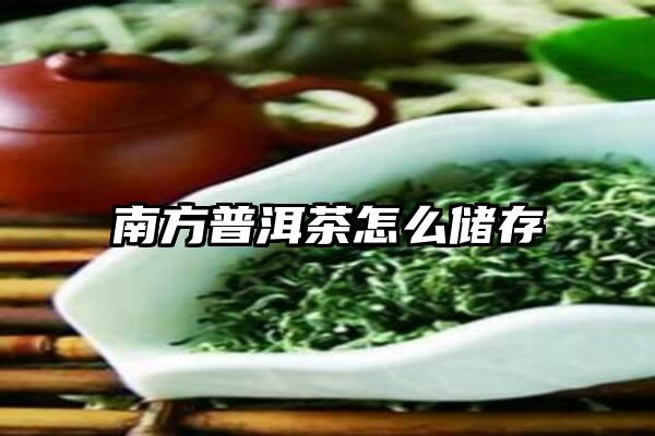 南方普洱茶怎么储存