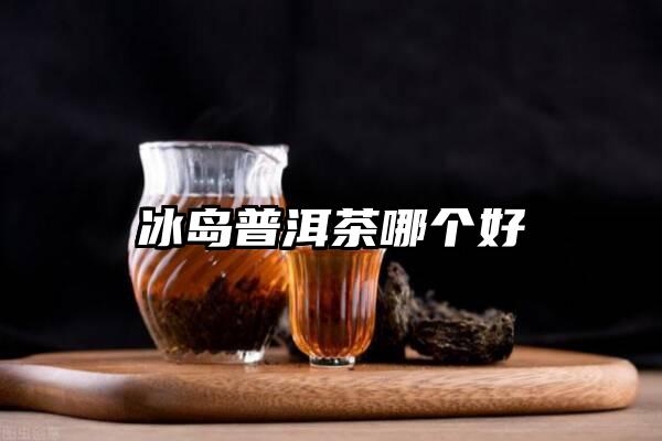 冰岛普洱茶哪个好