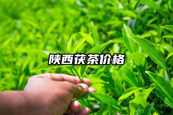 陕西茯茶价格