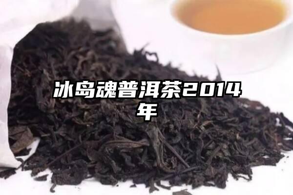 冰岛魂普洱茶2014年