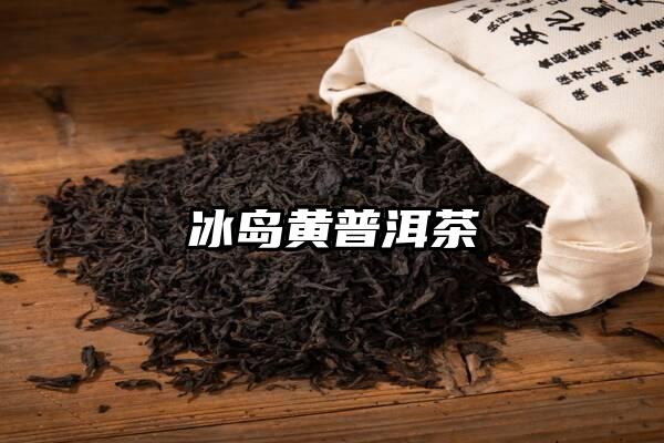 冰岛黄普洱茶