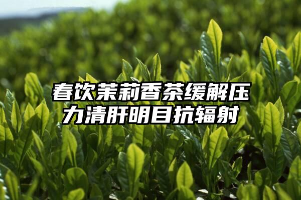 春饮茉莉香茶缓解压力清肝明目抗辐射