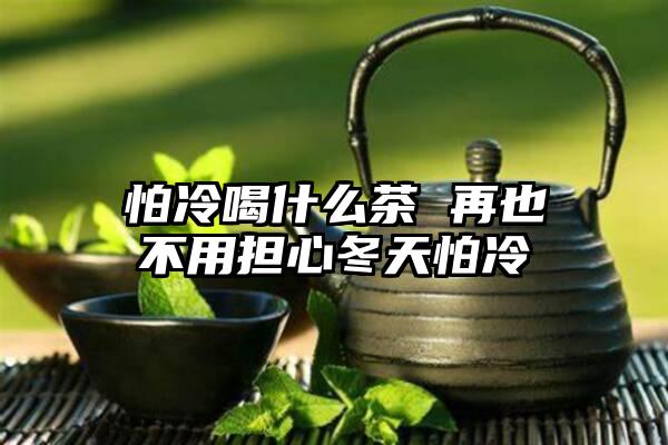 怕冷喝什么茶 再也不用担心冬天怕冷