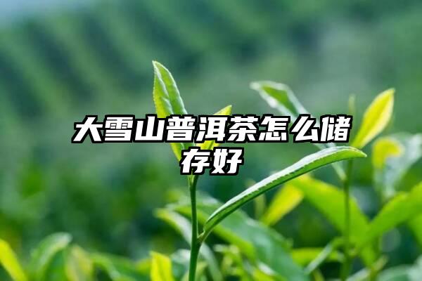 大雪山普洱茶怎么储存好