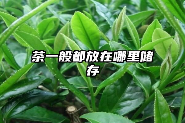 茶一般都放在哪里储存