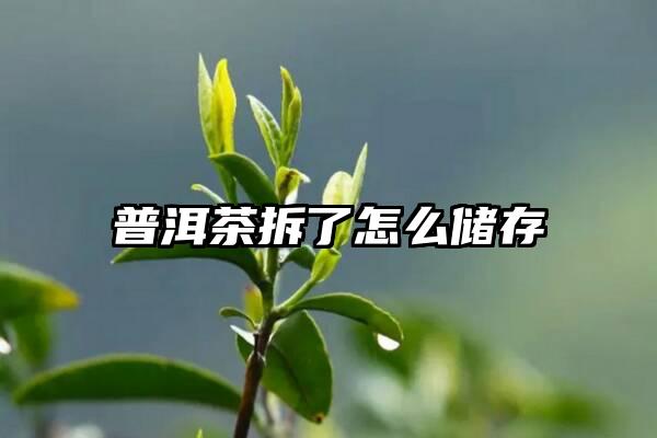 普洱茶拆了怎么储存