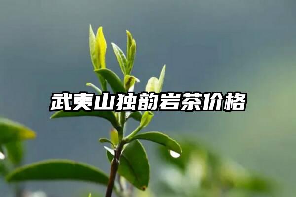 武夷山独韵岩茶价格