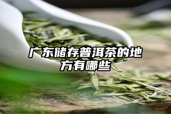 广东储存普洱茶的地方有哪些