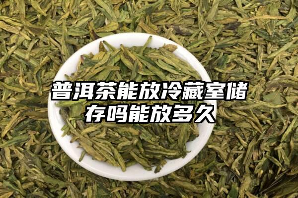 普洱茶能放冷藏室储存吗能放多久