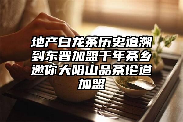 地产白龙茶历史追溯到东晋加盟千年茶乡邀你大阳山品茶论道加盟