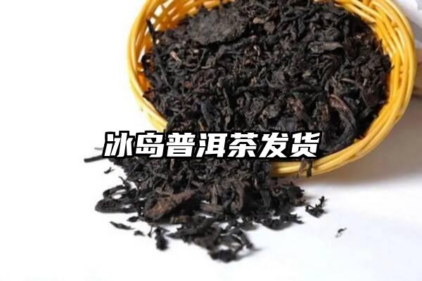 冰岛普洱茶发货