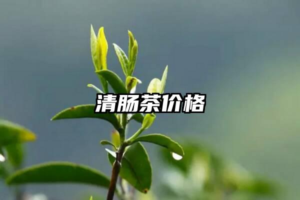 清肠茶价格