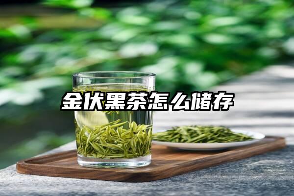 金伏黑茶怎么储存