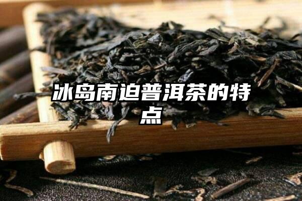 冰岛南迫普洱茶的特点