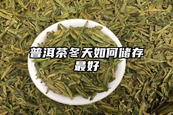 普洱茶冬天如何储存最好