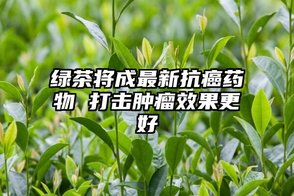 绿茶将成最新抗癌药物 打击肿瘤效果更好