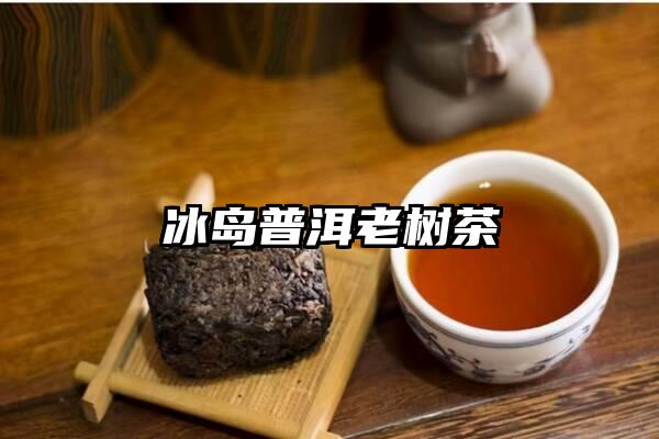 冰岛普洱老树茶