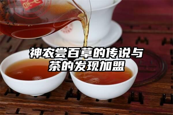 神农尝百草的传说与茶的发现加盟