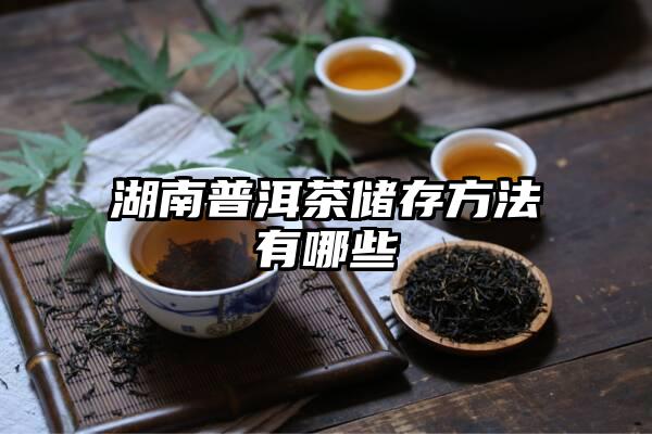 湖南普洱茶储存方法有哪些