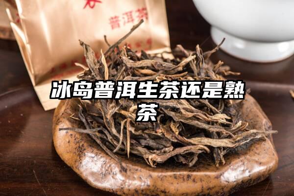 冰岛普洱生茶还是熟茶