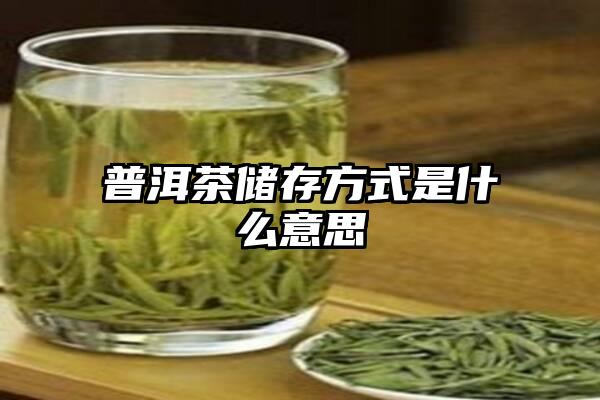 普洱茶储存方式是什么意思