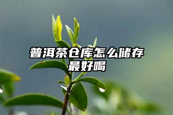 普洱茶仓库怎么储存最好喝