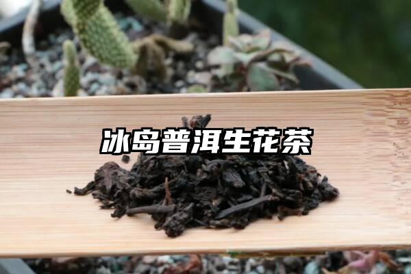 冰岛普洱生花茶