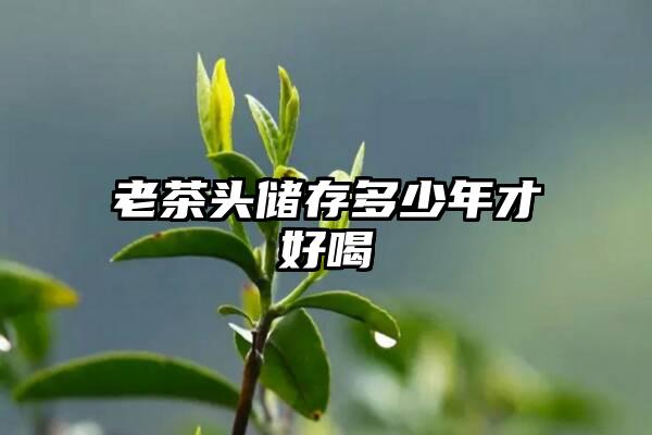 老茶头储存多少年才好喝