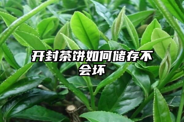 开封茶饼如何储存不会坏