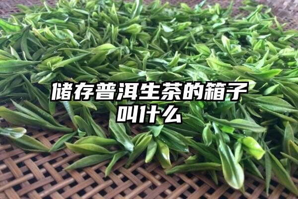 储存普洱生茶的箱子叫什么