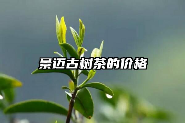 景迈古树茶的价格