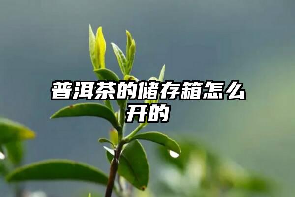 普洱茶的储存箱怎么开的