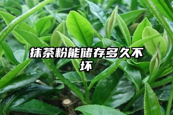 抹茶粉能储存多久不坏