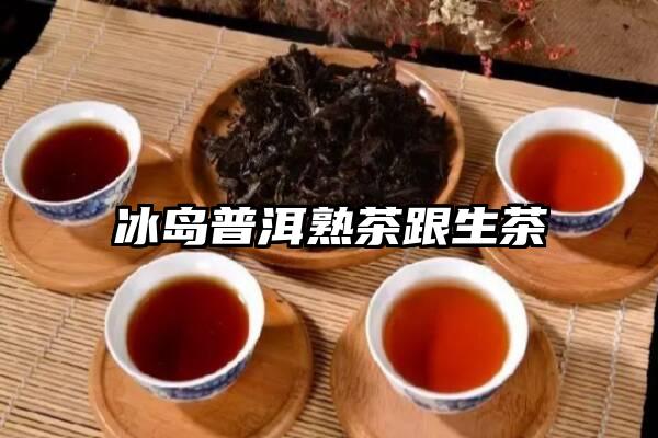 冰岛普洱熟茶跟生茶